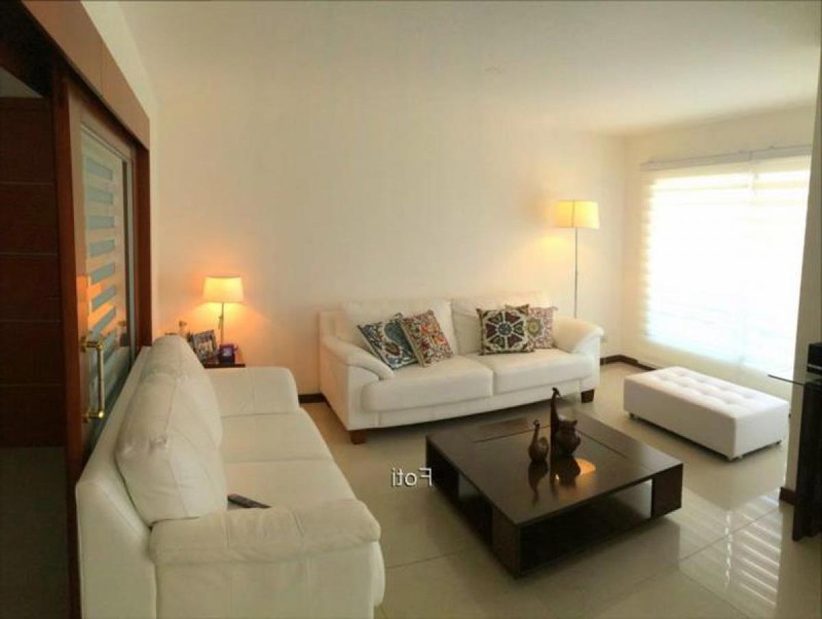 2 bedrooms Apartment in Montevideo, Uruguay No. 3749