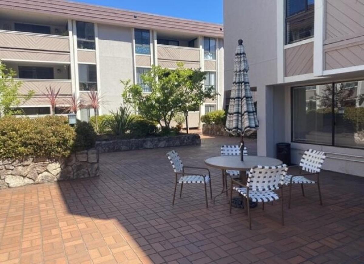 Studio in San Mateo, USA No. 442363