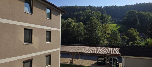 3-Zimmer Wohnung in Edlitz, Austria, Nr. 254437 9