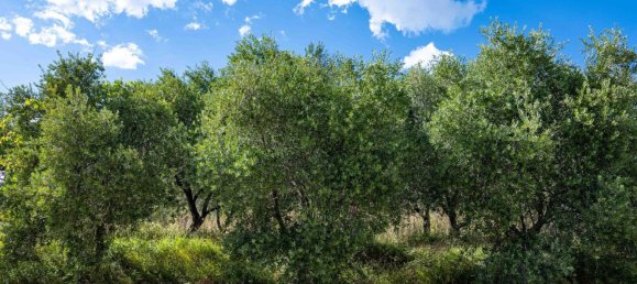 2 bedrooms House in Salisano, Italy No. 373547 36