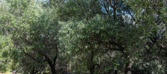 2 bedrooms House in Salisano, Italy No. 373547 30