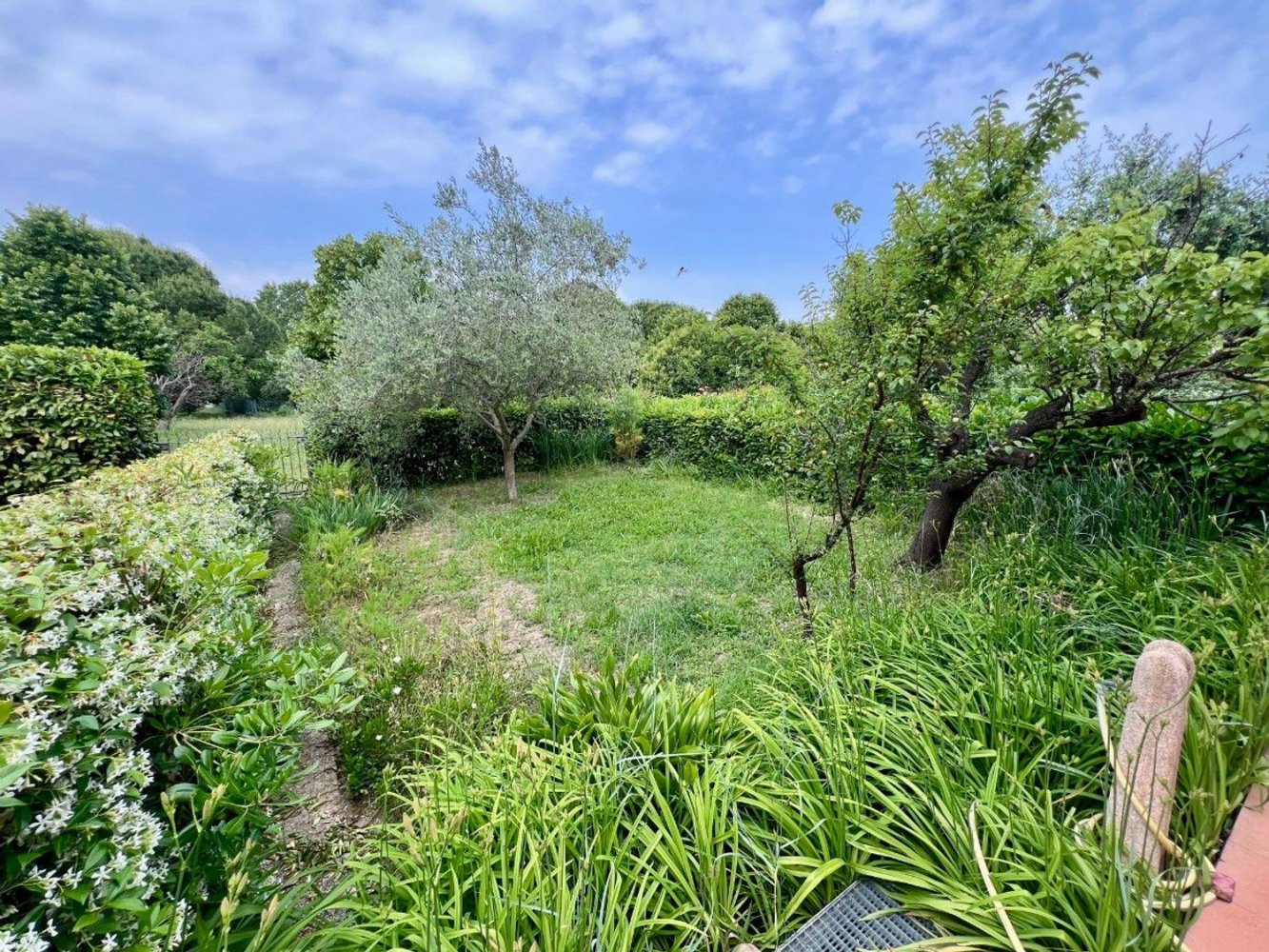 3 rooms Apartment in Cattolica, Italy No. 275094