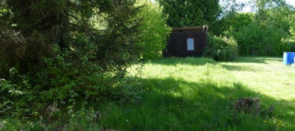 Bungalow T3 em Sankt Wendel, Germany N.º 310522 6