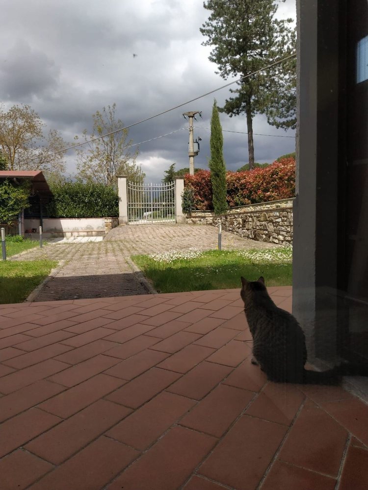 3 rooms Apartment in Vicchio, Italy No. 254582