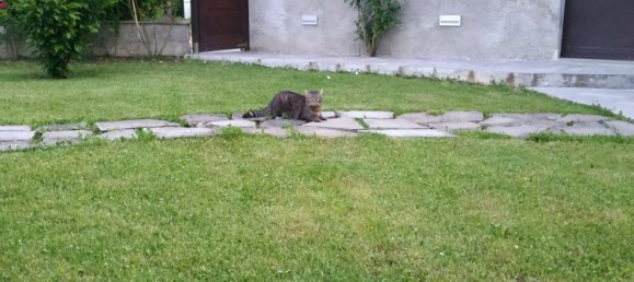 3 rooms Apartment in Vicchio, Italy No. 254582 15