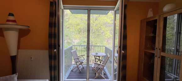 Apartamento de 1 dormitorio en Sachsische Schweiz-Osterzgebirge, Germany No. 146306 2