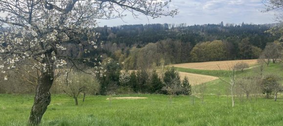 3 غرف نوم بنغالو في Burgauberg-Neudauberg, Austria رقم 169366 12