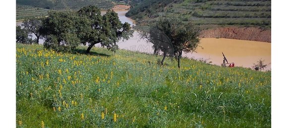 Hotel in Lagos, Portugal 2716250m², Nr. 56427 6