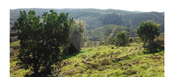 Hotel in Lagos, Portugal 2716250m², Nr. 56427 16