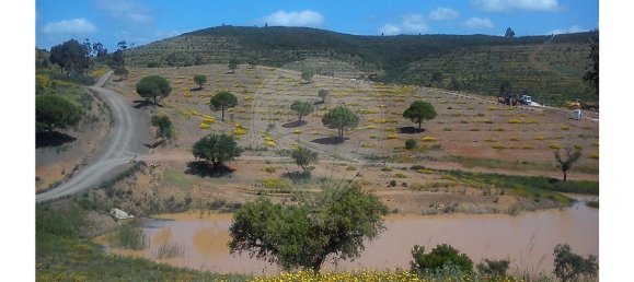 Hotel in Lagos, Portugal 2716250m², Nr. 56427 8