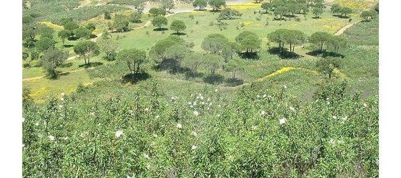 Hotel in Lagos, Portugal 2716250m², Nr. 56427 3