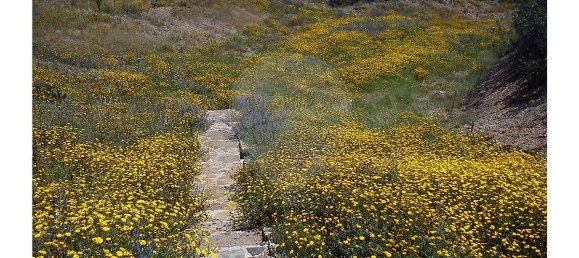 Hotel in Lagos, Portugal 2716250m², Nr. 56427 9