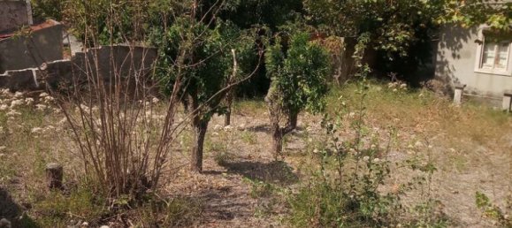 5 chambres Maison à Sintra, Portugal No. 139223 3