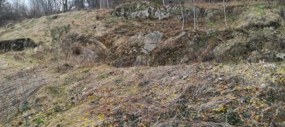 1461m² Land in Lorrach, Germany No. 817 3