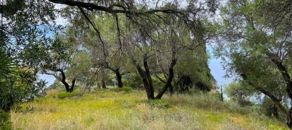 Moradia em banda T11 em Corfu, Greece N.º 2156 9