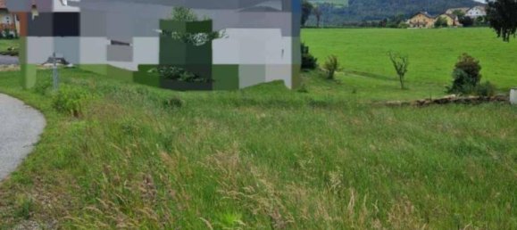 Terreno em Rohrbach an der Lafnitz, Austria 1128 m² N.º 232852 6