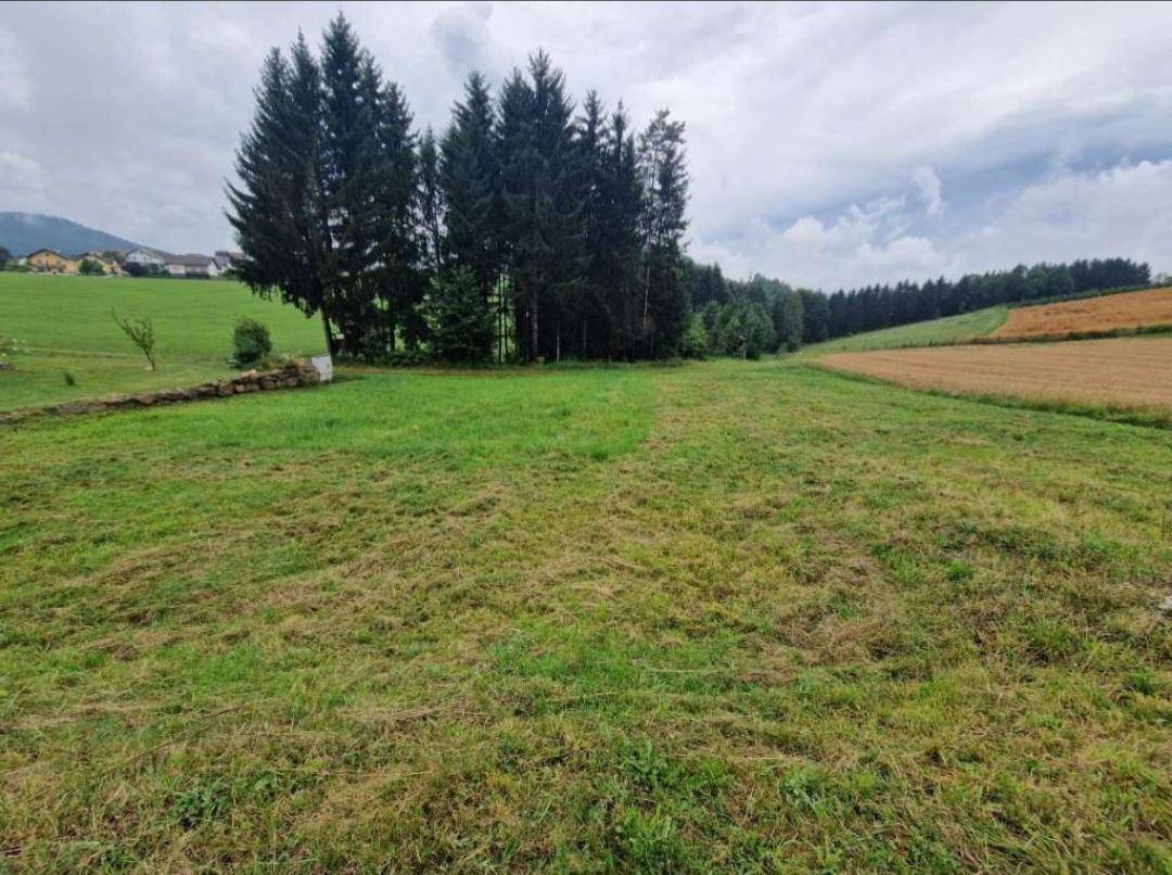 Terreno em Rohrbach an der Lafnitz, Austria 1128 m² N.º 232852