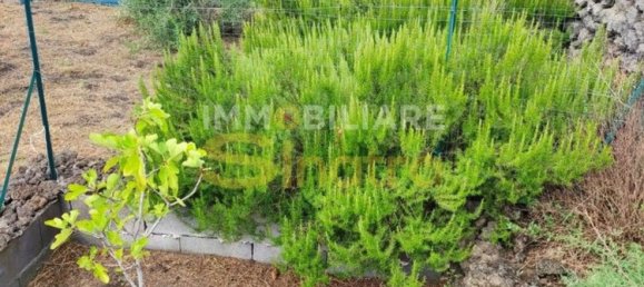 6 rooms House in Belpasso, Italy No. 48515 27