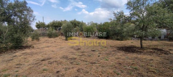 6 rooms House in Belpasso, Italy No. 48515 33