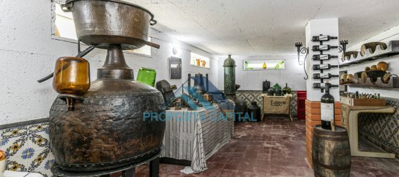 10 bedrooms Castles in Cascais, Portugal No. 109992 24