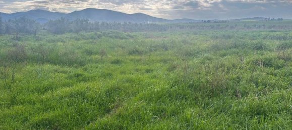 5 rooms House in Grosseto, Italy No. 42776 14