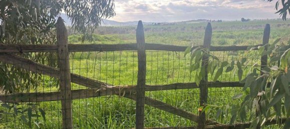 5 rooms House in Grosseto, Italy No. 42776 12