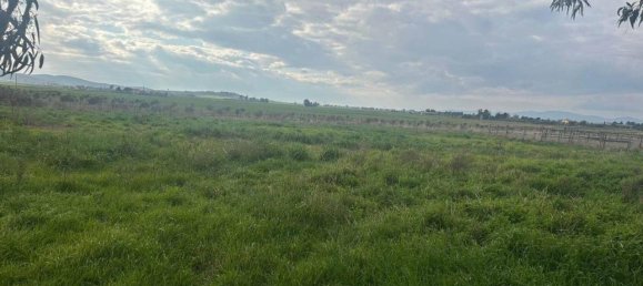 5 rooms House in Grosseto, Italy No. 42776 13