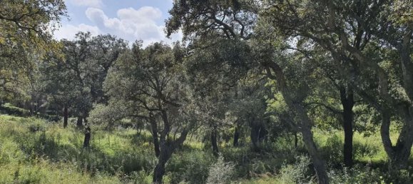 Terreno em Cadiz, Spain 2100 m² N.º 72396 4