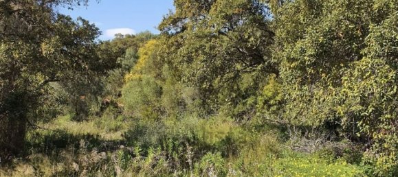 Terreno em Cadiz, Spain 2100 m² N.º 72396 5