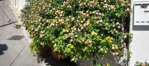 4 rooms Apartment in Ginosa, Italy No. 76821 3