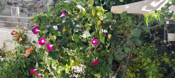 4 rooms Apartment in Ginosa, Italy No. 76821 4