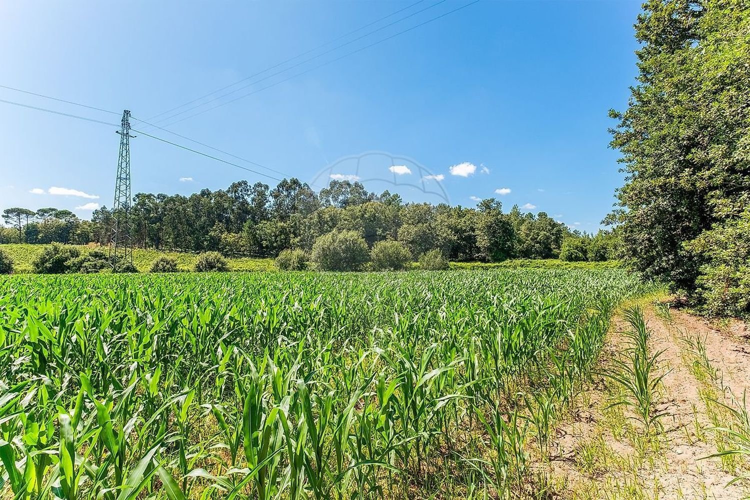  Land in Soutelo, Portugal No. 326986