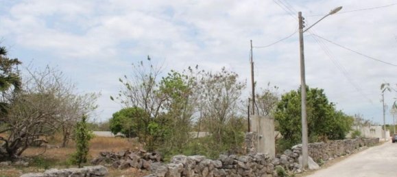 Grundstück in Merida, Mexico, Nr. 124142 2