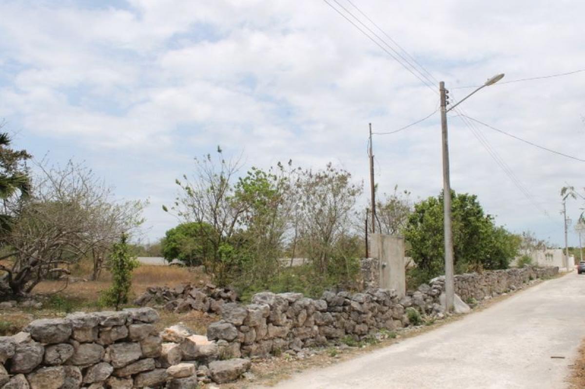 Grundstück in Merida, Mexico, Nr. 124142