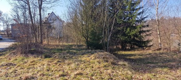 Propiedad comercial de 2 dormitorios en Erzgebirgskreis, Germany No. 60782 30