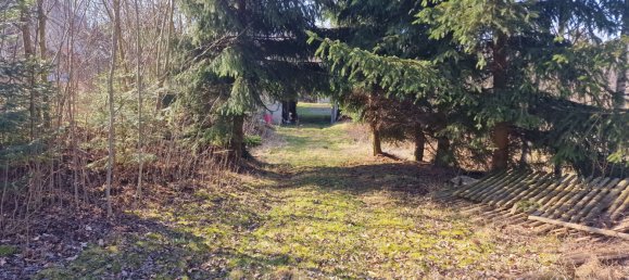 Propiedad comercial de 2 dormitorios en Erzgebirgskreis, Germany No. 60782 31