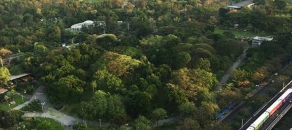 شقة 1 غرف نوم  في Chatuchak, Thailand رقم 21716 2