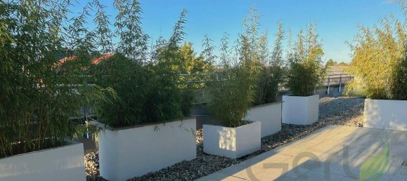 2 bedrooms Apartment in Seekirchen am Wallersee, Austria No. 185732 4