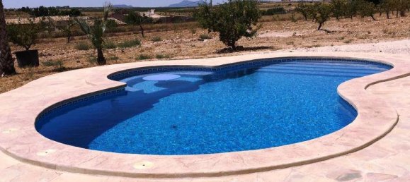 Вилла с 4 спальнями в Пиносо, Испания № 7125 4