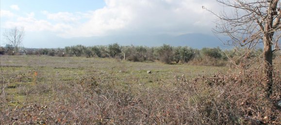 12300m² Hotel in Litochoro, Greece No. 5876 3