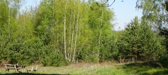  Land in Potsdam-Mittelmark, Germany No. 361882 5