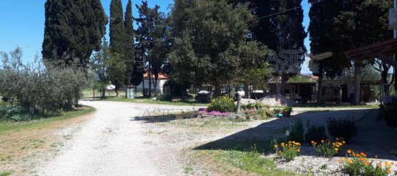 2-salle Appartement à Suvereto, Italy No. 42876 2