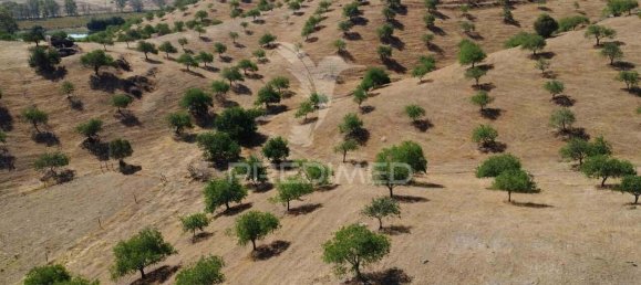 9 bedrooms Land in Azinhal, Portugal No. 135546 13