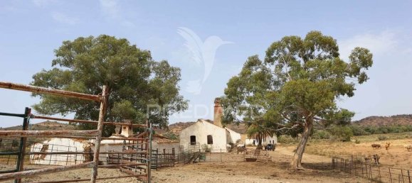 9 bedrooms Land in Azinhal, Portugal No. 135546 21