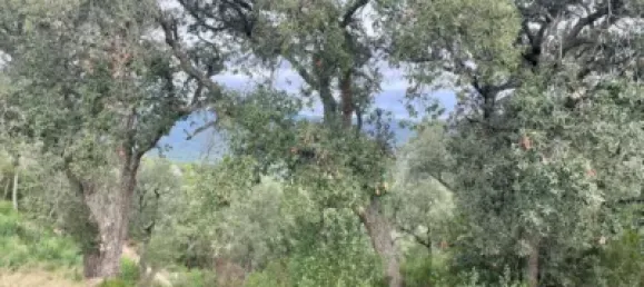 قطعة أرض في Castell-Platja d'Aro, Spain رقم 114840 40