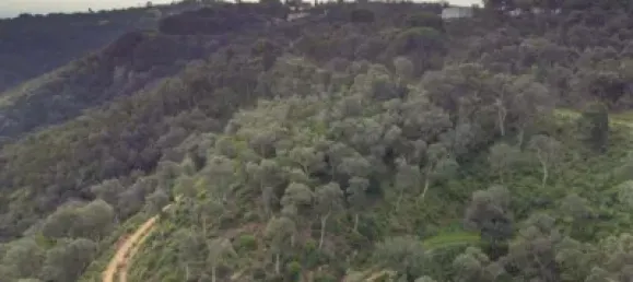 قطعة أرض في Castell-Platja d'Aro, Spain رقم 114840 22