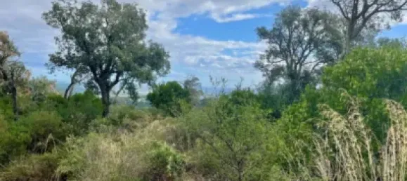 قطعة أرض في Castell-Platja d'Aro, Spain رقم 114840 31