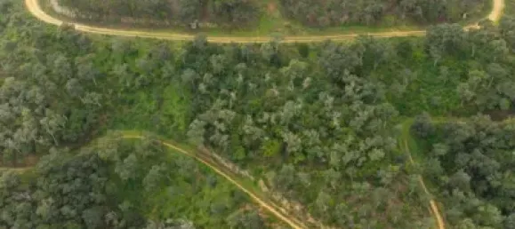 قطعة أرض في Castell-Platja d'Aro, Spain رقم 114840 15