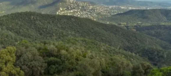 قطعة أرض في Castell-Platja d'Aro, Spain رقم 114840 7