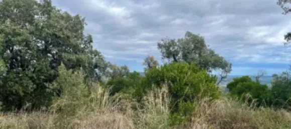 قطعة أرض في Castell-Platja d'Aro, Spain رقم 114840 32